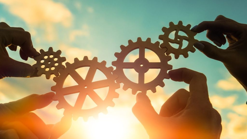 Verschiedene Zahnräder sind aneinander gezahnt.